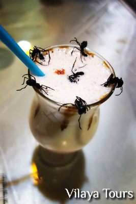 The ant cocktail with six ants for decoration.