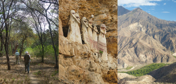 Three aspects of Northern peru Archaeology and Forest Tour