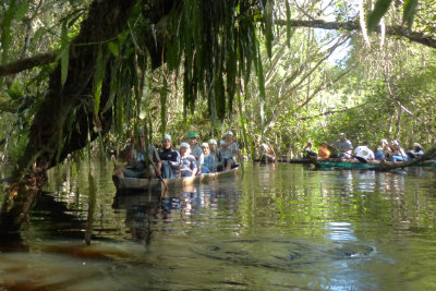Canoeing in Tingana Forest Reserve