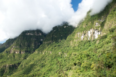 Cloud forest of northen Peru